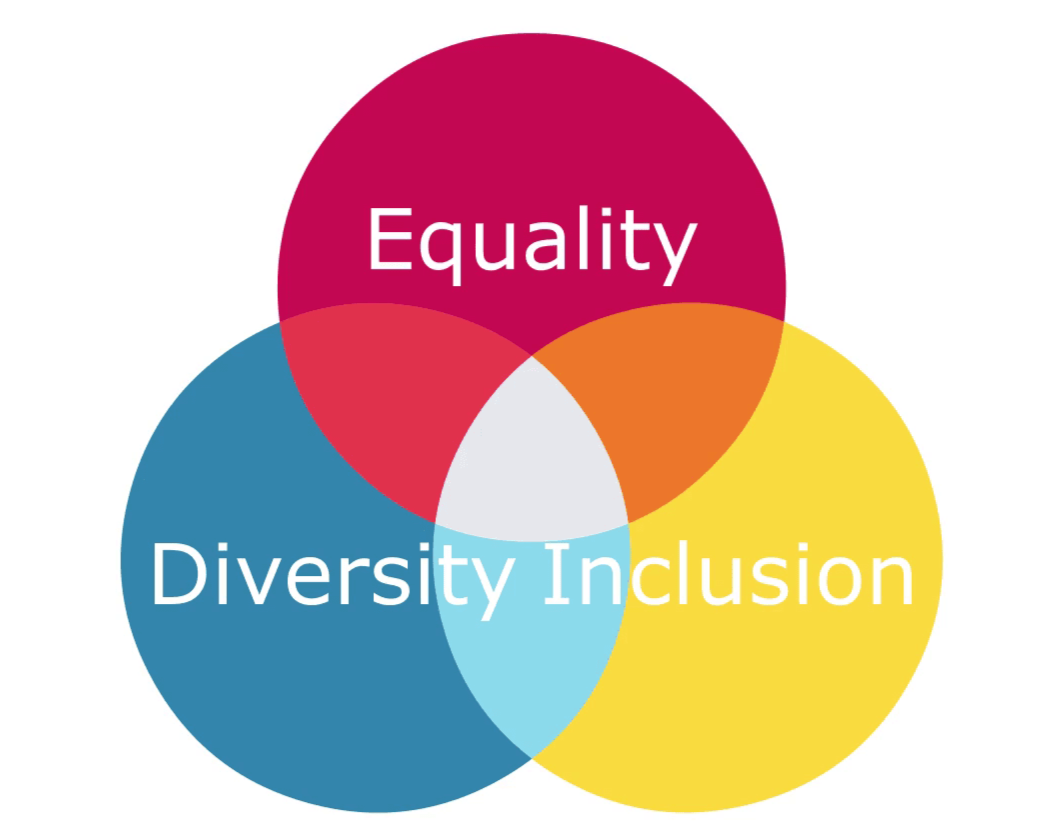 Free Sample e-Learning on Equality, Diversity and Inclusion